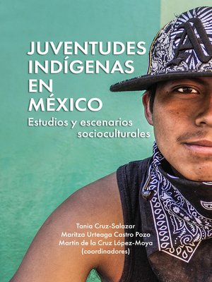 cover image of Juventudes indígenas en México
